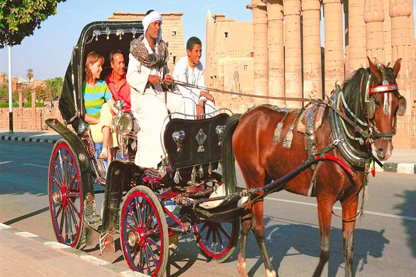 Arabian stagecoach trip in Luxor