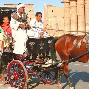 Horse-drawn carriage ride in Luxor